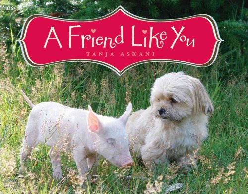 cover image A Friend Like You
