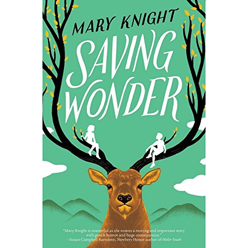 cover image Saving Wonder