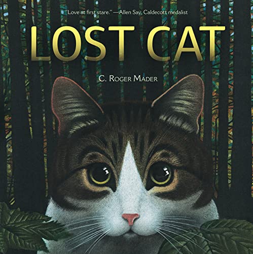 cover image Lost Cat