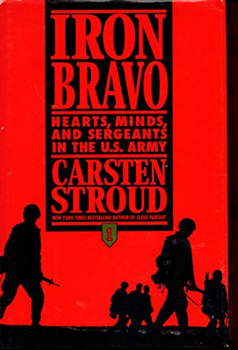 cover image Iron Bravo