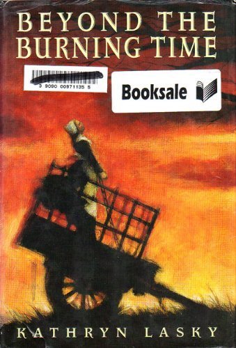 cover image Beyond the Burning Time