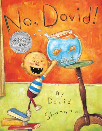 cover image No, David!