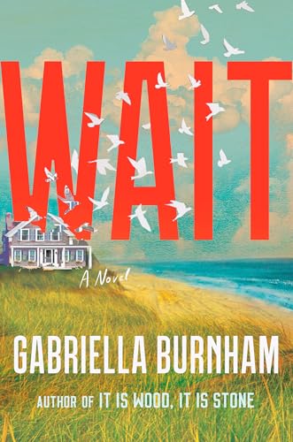 cover image Wait