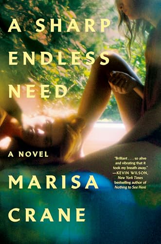 cover image A Sharp Endless Need
