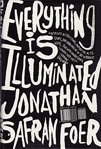 cover image EVERYTHING IS ILLUMINATED