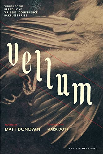 cover image Vellum