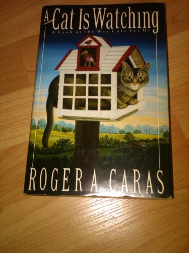 cover image A Cat is Watching: A Look at the Way Cats See Us