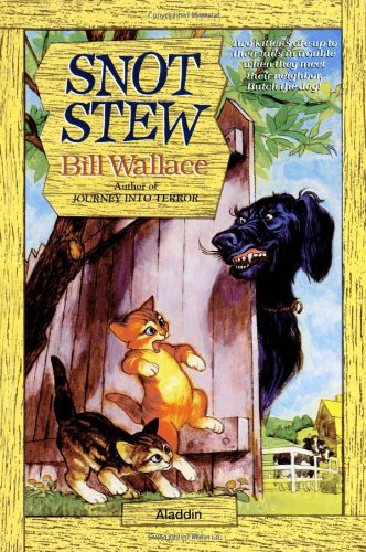 cover image Snot Stew