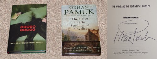 cover image The Naive and the Sentimental Novelist