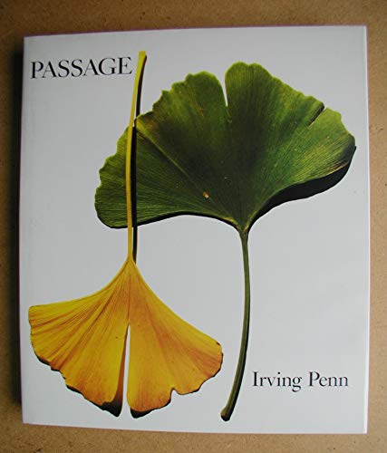 cover image Passage