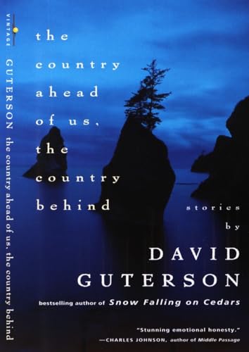 cover image The Country Ahead of Us, the Country Behind
