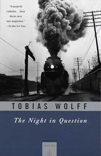 cover image The Night in Question: Stories
