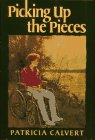 cover image Picking Up the Pieces