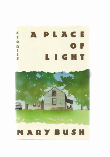 cover image A Place of Light: Stories