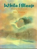 cover image While I Sleep