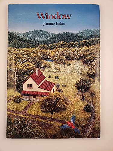cover image Window