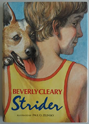 cover image Strider