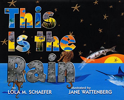 cover image THIS IS THE RAIN
