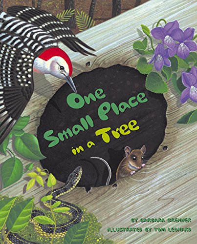 cover image One Small Place in a Tree