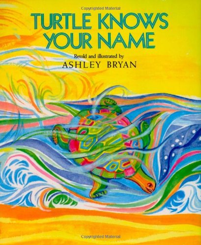cover image Turtle Knows Your Name