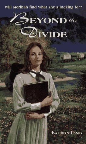 cover image Beyond the Divide