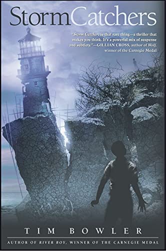 cover image STORM CATCHERS