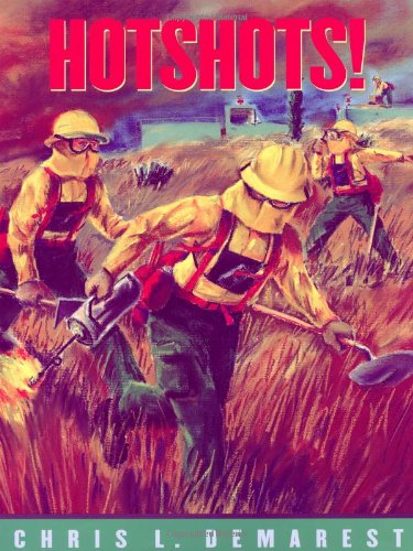 cover image HOTSHOTS!