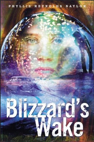 cover image BLIZZARD'S WAKE