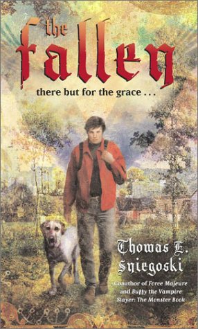 cover image THE FALLEN
