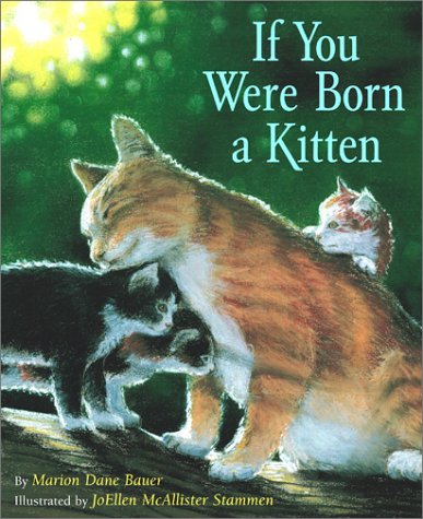 cover image If You Were Born a Kitten