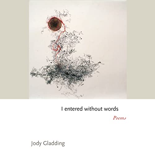 cover image I Entered Without Words