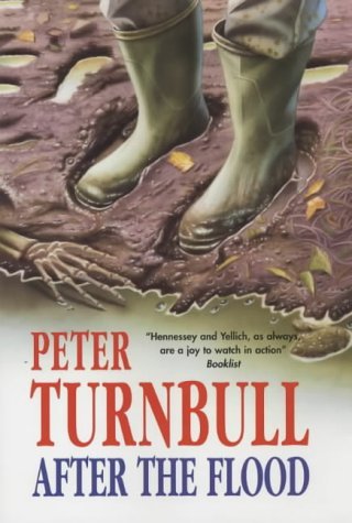 cover image AFTER THE FLOOD