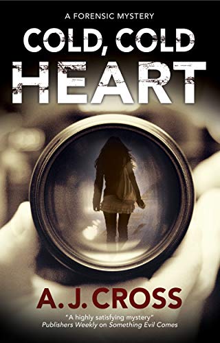 cover image Cold, Cold Heart