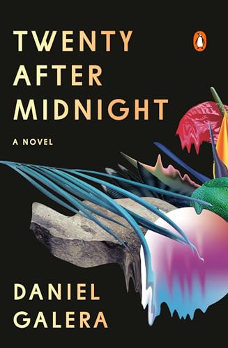 cover image Twenty After Midnight