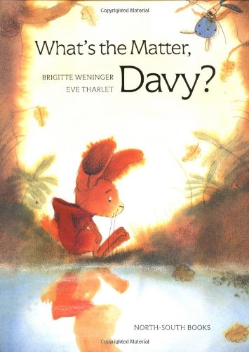 cover image WHAT'S THE MATTER, DAVY?