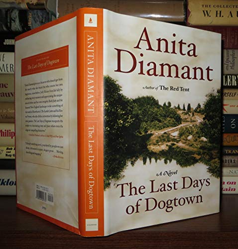 cover image The Last Days of Dogtown