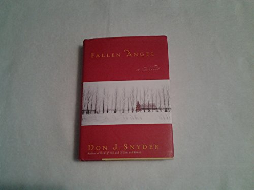 cover image FALLEN ANGEL
