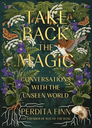 cover image Take Back the Magic: Conversations with the Unseen World