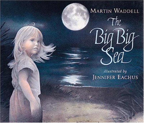cover image The Big Big Sea