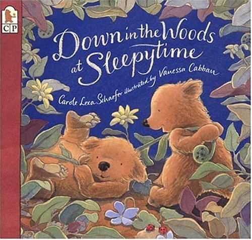 cover image DOWN IN THE WOODS AT SLEEPYTIME