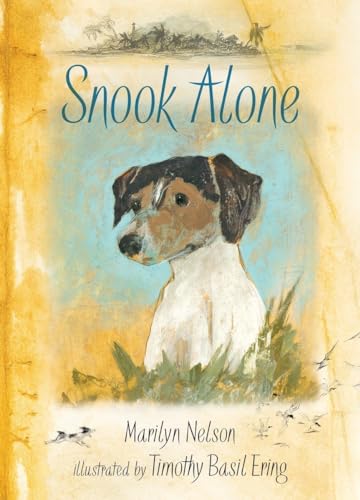 cover image Snook Alone
