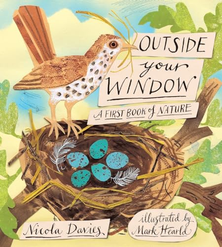cover image Outside Your Window: A First Book of Nature