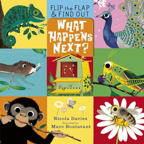 cover image What Happens Next?
