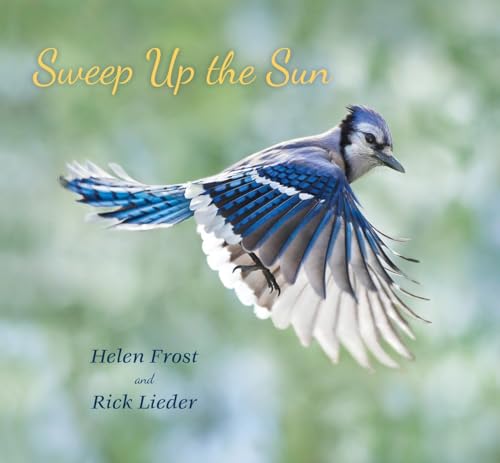 cover image Sweep Up the Sun
