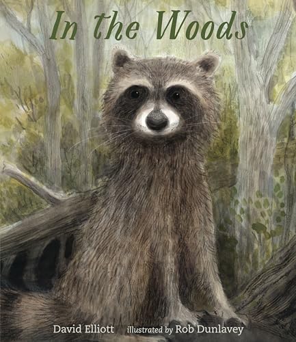 cover image In the Woods