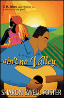 cover image Ain't No Valley