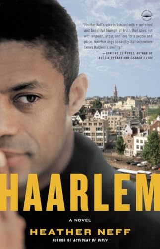 cover image Haarlem