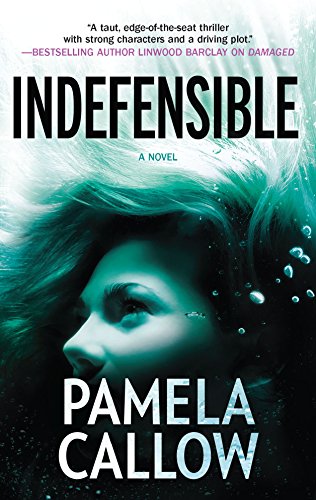 cover image Indefensible