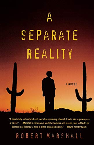 cover image A Separate Reality