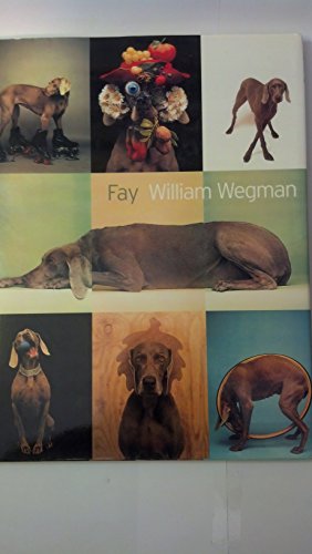 cover image Fay